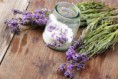 /album/fenykepgaleria/lavender-sugar-jpg/
